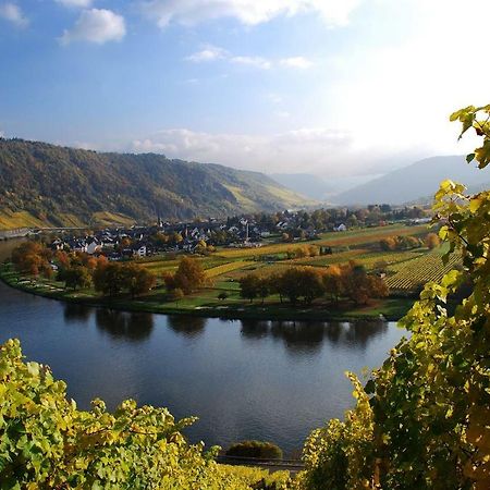 York Cottage Traben-Trarbach Esterno foto