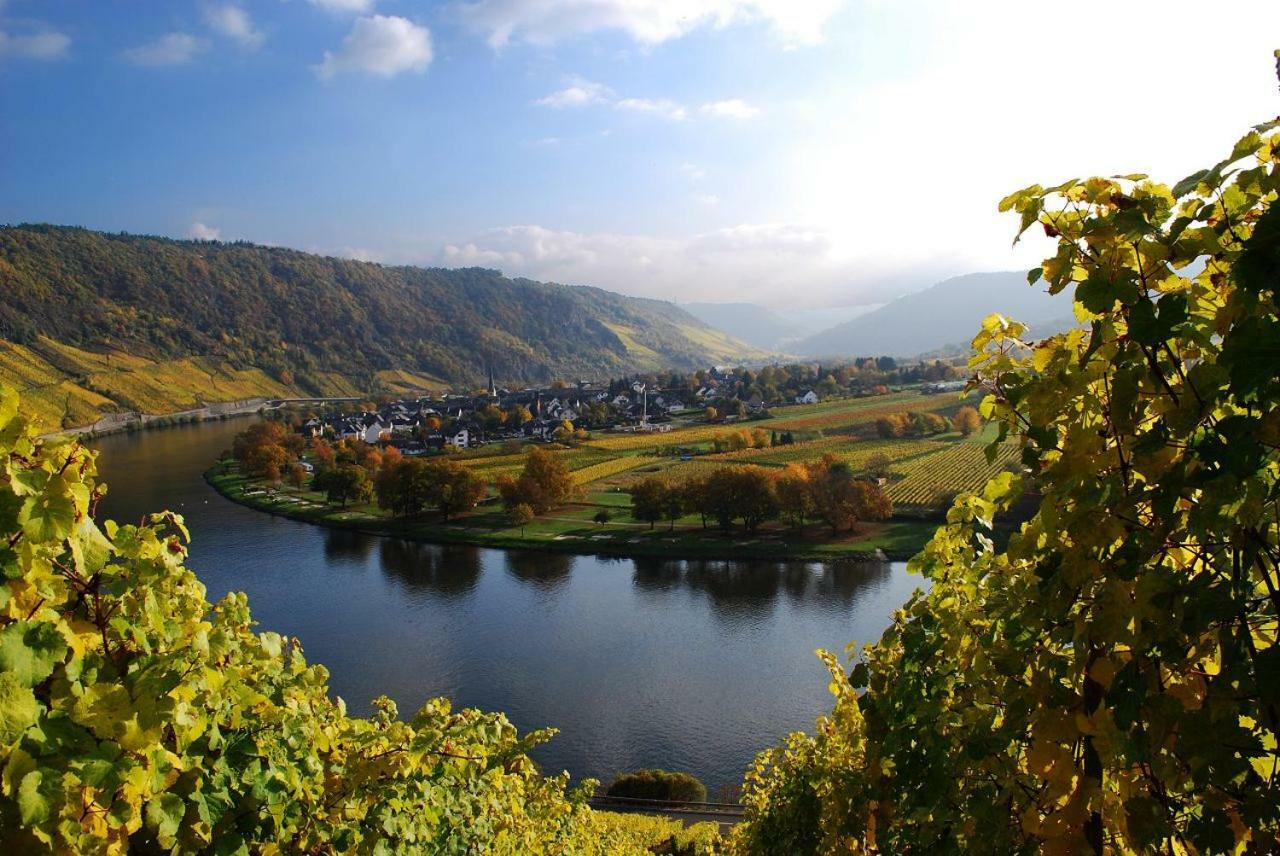 York Cottage Traben-Trarbach Esterno foto